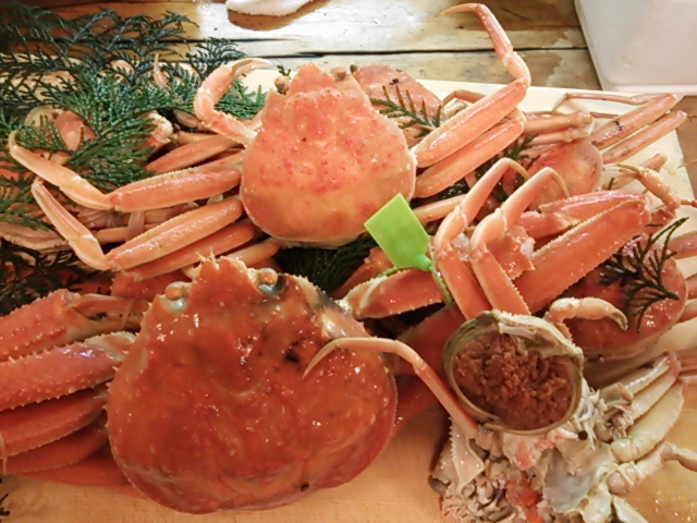 松葉蟹