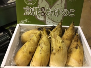 京都塚原産筍