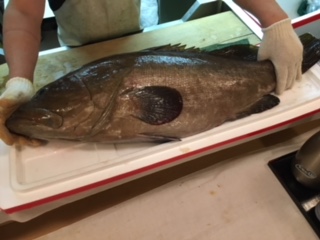 アラ