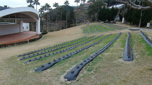 20160301_6.jpg
