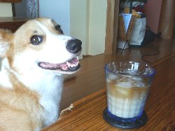 アッ!ミツカッタ?チョットぺろシタンダゼ。