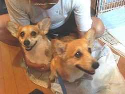 お父さんが一緒なんだって!似てるね!