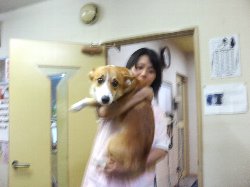 オオオオぉーー!!カァァア〜ジャ〜〜ンっ!!