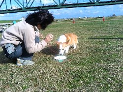 まろんちゃん・・。しつけしたのに・・。