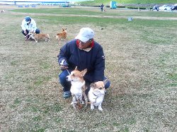 ロコ父さんがなでなで中。