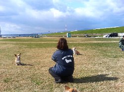 ミリセリ家。隔離中。
