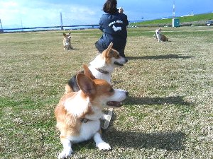 しらんぷり。こっち向けよ!