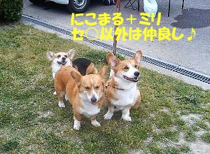 いつまで待たせる気なのかしらっ!?プンっ!!