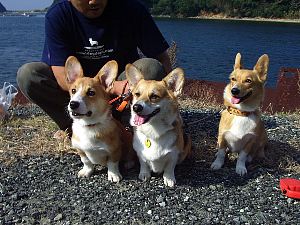 たったの3頭なのに・・。みんなバァ〜ラバラ!