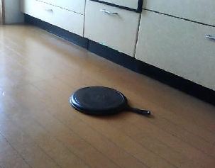 まっさかさぁまぁにぃ〜落ちてデザイア♪