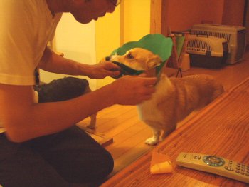 もうええ?もうええ??