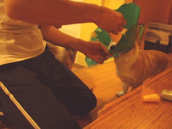 うーーーーーんっ。