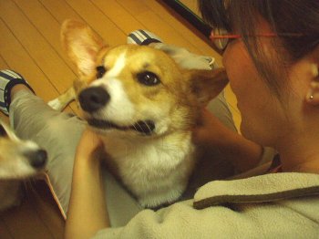 ソコソコ、みぎミギ。