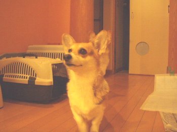 あ、ジャマ?アタシ。