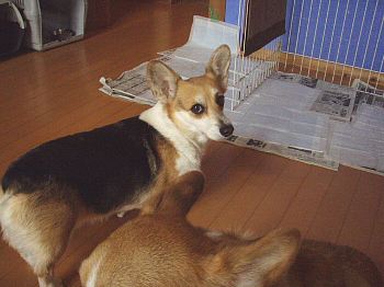 心配することナイでしょ?