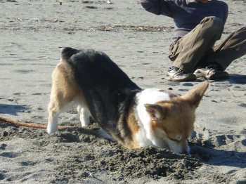 誰か・・。