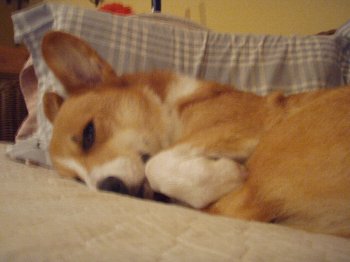 こうなったら動きません。