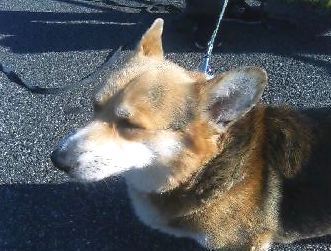 物思う・・、おばちゃん、ダレ?