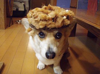 あらよっ♪