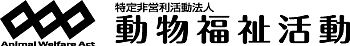 ワイヤードさんです。