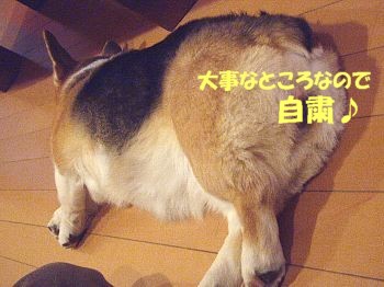 あらみてたのねぇ〜。