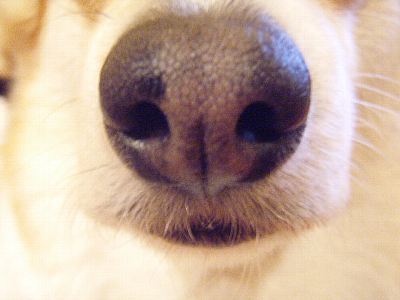 ちょっと下膨れのお口なの♪