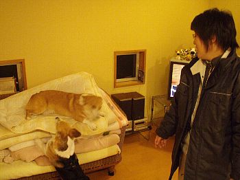 あんた、うるさいっ!!