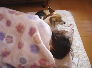 そっと添い寝。