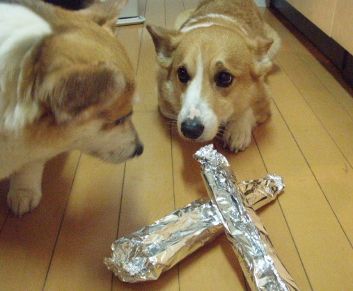 ナンダロカ?