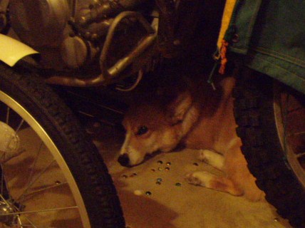 カクレテルツモリ〜。