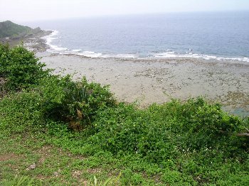 やっぱりキレイな海