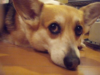 アタシほっといて?一人だけ楽しんだってわけね?!