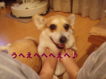 甘え放題