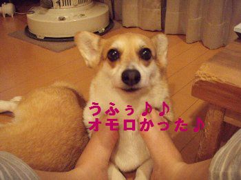 はぁ♪たのしかった♪