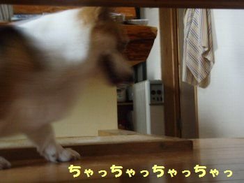 くるくぅぅるぅ、まぁわぁるぅ〜。
