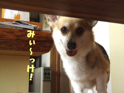 おきたぁ??