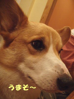 よだれジュルジュル