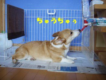 なんか、ノドかわくぅ〜。