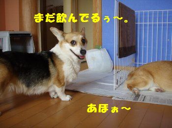 順番なの??
