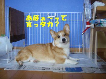 いやいや、気にせずに。
