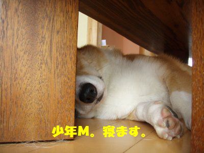 犯人はオレ。