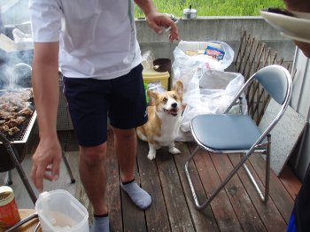 落ちる?