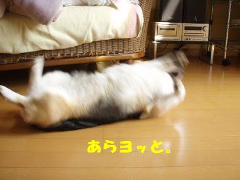 あらよっと