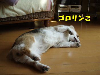 うししし
