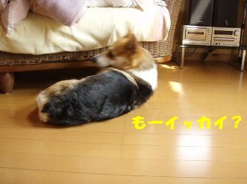 もっかいしよっかなぁ〜。