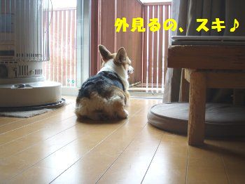 ふぅ〜