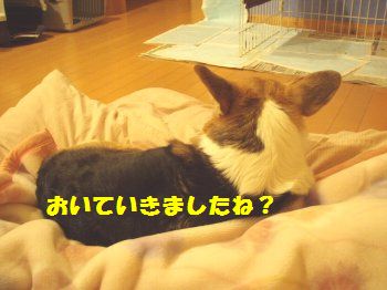 そないにドクレんでも・・。