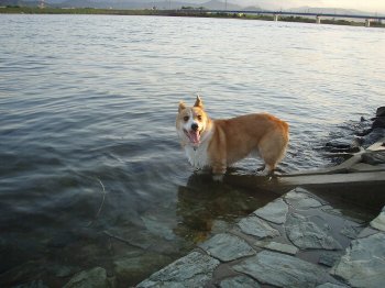 そーーーーーっと。