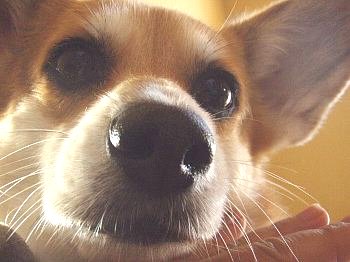 ままちゃん、指、どうしたの?