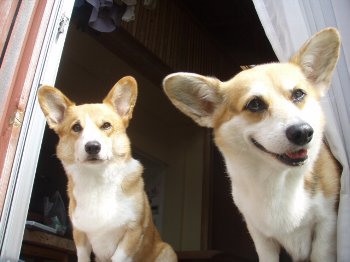 取れた〜?